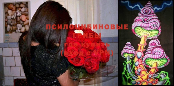 мяу мяу мука Новокубанск