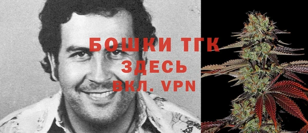 гидропоника Абаза