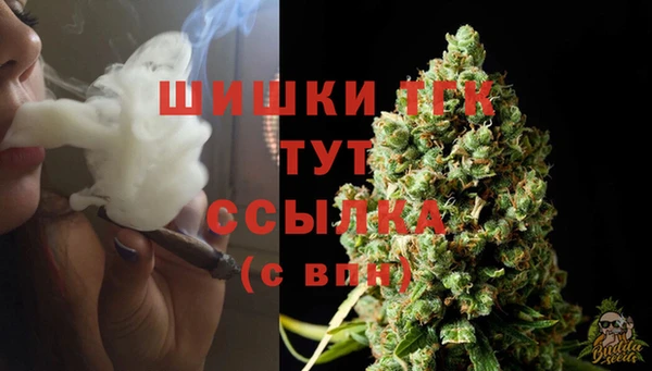 гидра Абдулино