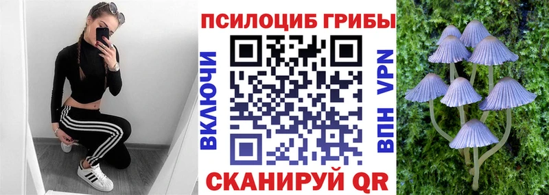Галлюциногенные грибы MAGIC MUSHROOMS  закладки  Иноземцево 